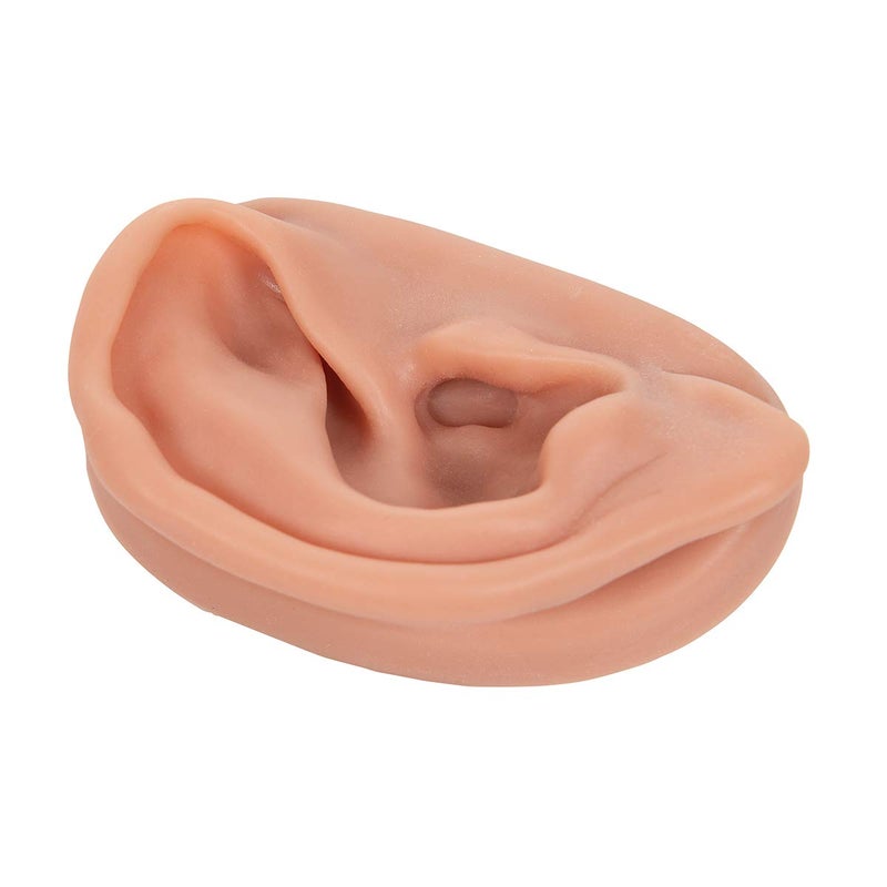 3B Scientific N15/1R SKINlike Silicone Right Acupuncture Ear Model, 3.7" x 2.4" x 1.6" - Image 2